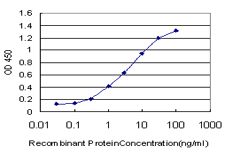 ABL2 Antibody - Detection limit for recombinant GST tagged ABL2 is approximately 0.1 ng/ml as a capture antibody.