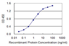 ABLIM1 Antibody - Detection limit for recombinant GST tagged ABLIM1 is 0.03 ng/ml as a capture antibody.