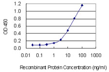 ABO Glycosyltransferase Antibody - Detection limit for recombinant GST tagged ABO is 0.3 ng/ml as a capture antibody.