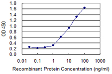 ACAA1 Antibody - Detection limit for recombinant GST tagged ACAA1 is 0.1 ng/ml as a capture antibody.