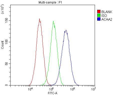 ACAA2 Antibody - Flow Cytometry analysis of HepG2 cells using anti-ACAA2 antibody. Overlay histogram showing HepG2 cells stained with anti-ACAA2 antibody (Blue line). The cells were blocked with 10% normal goat serum. And then incubated with rabbit anti-ACAA2 Antibody (1µg/10E6 cells) for 30 min at 20°C. DyLight®488 conjugated goat anti-rabbit IgG (5-10µg/10E6 cells) was used as secondary antibody for 30 minutes at 20°C. Isotype control antibody (Green line) was rabbit IgG (1µg/10E6 cells) used under the same conditions. Unlabelled sample (Red line) was also used as a control.