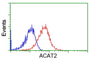 ACAT2 Antibody - Flow cytometric Analysis of Hela cells, using anti-ACAT2 antibody, (Red), compared to a nonspecific negative control antibody, (Blue).