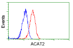 ACAT2 Antibody - Flow cytometry of Jurkat cells, using anti-ACAT2 antibody, (Red), compared to a nonspecific negative control antibody, (Blue).