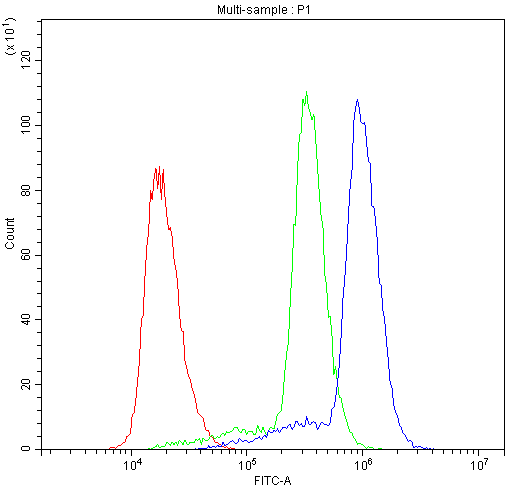 ACCN3 / ASIC3 Antibody - Flow Cytometry analysis of U937 cells using anti-ASIC3 antibody. Overlay histogram showing U937 cells stained with anti-ASIC3 antibody (Blue line). The cells were blocked with 10% normal goat serum. And then incubated with rabbit anti-ASIC3 Antibody (1µg/10E6 cells) for 30 min at 20°C. DyLight®488 conjugated goat anti-rabbit IgG (5-10µg/10E6 cells) was used as secondary antibody for 30 minutes at 20°C. Isotype control antibody (Green line) was rabbit IgG (1µg/10E6 cells) used under the same conditions. Unlabelled sample (Red line) was also used as a control.
