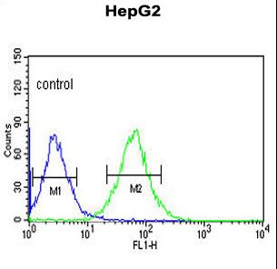 ACER3 Antibody - ACER3 Antibody flow cytometry of HepG2 cells (right histogram) compared to a negative control cell (left histogram). FITC-conjugated goat-anti-rabbit secondary antibodies were used for the analysis.
