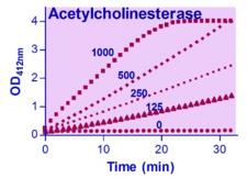ACHE / Acetylcholinesterase Assay Kit