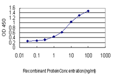 ACLP / AEBP1 Antibody - Detection limit for recombinant GST tagged AEBP1 is approximately 0.3 ng/ml as a capture antibody.