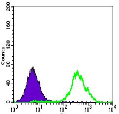 ACLY / ATP Citrate Lyase Antibody - ATP Citrate Lyase Antibody in Flow Cytometry (Flow)