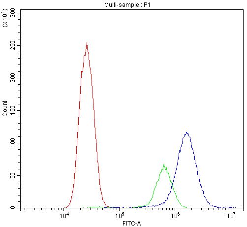 ACLY / ATP Citrate Lyase Antibody - Flow Cytometry analysis of U20S cells using anti-ATP citrate lyase antibody. Overlay histogram showing U20S cells stained with anti-ATP citrate lyase antibody (Blue line). The cells were blocked with 10% normal goat serum. And then incubated with rabbit anti-ATP citrate lyase Antibody (1µg/10E6 cells) for 30 min at 20°C. DyLight®488 conjugated goat anti-rabbit IgG (5-10µg/10E6 cells) was used as secondary antibody for 30 minutes at 20°C. Isotype control antibody (Green line) was rabbit IgG (1µg/10E6 cells) used under the same conditions. Unlabelled sample (Red line) was also used as a control.