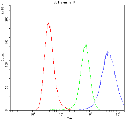 ACLY / ATP Citrate Lyase Antibody - Flow Cytometry analysis of A549 cells using anti-ATP citrate lyase antibody. Overlay histogram showing A549 cells stained with anti-ATP citrate lyase antibody (Blue line). The cells were blocked with 10% normal goat serum. And then incubated with rabbit anti-ATP citrate lyase Antibody (1µg/10E6 cells) for 30 min at 20°C. DyLight®488 conjugated goat anti-rabbit IgG (5-10µg/10E6 cells) was used as secondary antibody for 30 minutes at 20°C. Isotype control antibody (Green line) was rabbit IgG (1µg/10E6 cells) used under the same conditions. Unlabelled sample (Red line) was also used as a control.