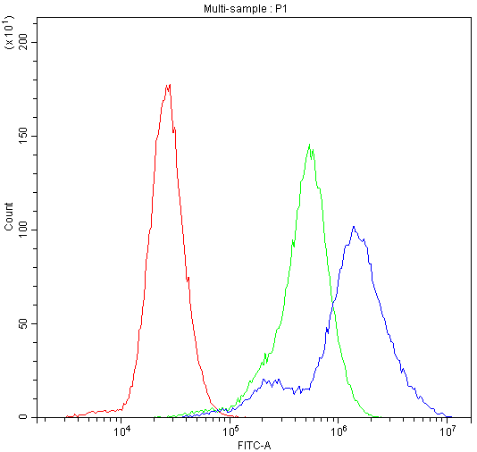 ACLY / ATP Citrate Lyase Antibody - Flow Cytometry analysis of U-87 cells using anti-ATP citrate lyase antibody. Overlay histogram showing U-87 cells stained with anti-ATP citrate lyase antibody (Blue line). The cells were blocked with 10% normal goat serum. And then incubated with rabbit anti-ATP citrate lyase Antibody (1µg/10E6 cells) for 30 min at 20°C. DyLight®488 conjugated goat anti-rabbit IgG (5-10µg/10E6 cells) was used as secondary antibody for 30 minutes at 20°C. Isotype control antibody (Green line) was rabbit IgG (1µg/10E6 cells) used under the same conditions. Unlabelled sample (Red line) was also used as a control.