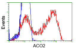 ACO2 / Aconitase 2 Antibody - HEK293T cells transfected with either pCMV6-ENTRY ACO2 (Red) or empty vector control plasmid (Blue) were immunostained with anti-ACO2 mouse monoclonal, and then analyzed by flow cytometry.