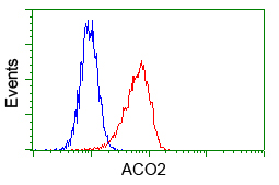 ACO2 / Aconitase 2 Antibody - Flow cytometry of HeLa cells, using anti-ACO2 antibody, (Red) compared to a nonspecific negative control antibody (Blue).