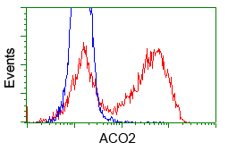 ACO2 / Aconitase 2 Antibody - HEK293T cells transfected with either pCMV6-ENTRY ACO2 (Red) or empty vector control plasmid (Blue) were immunostained with anti-ACO2 mouse monoclonal, and then analyzed by flow cytometry.