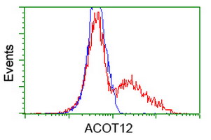 ACOT12 Antibody - HEK293T cells transfected with either overexpress plasmid (Red) or empty vector control plasmid (Blue) were immunostained by anti-ACOT12 antibody, and then analyzed by flow cytometry.