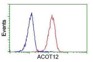 ACOT12 Antibody - Flow cytometry of HeLa cells, using anti-ACOT12 antibody (Red), compared to a nonspecific negative control antibody (Blue).