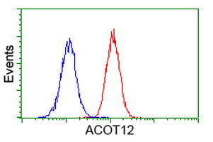 ACOT12 Antibody - Flow cytometry of Jurkat cells, using anti-ACOT12 antibody (Red), compared to a nonspecific negative control antibody (Blue).