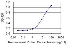 ACOT7 / BACH Antibody - Detection limit for recombinant GST tagged ACOT7 is 0.3 ng/ml as a capture antibody.