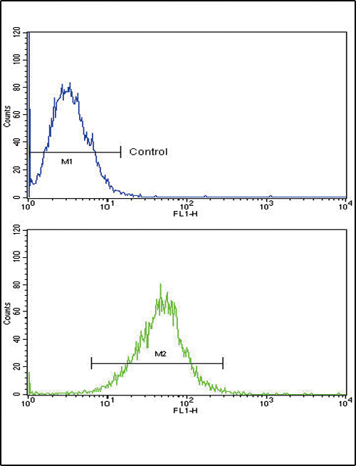 AcPL / IL18RAP Antibody - IL18RAP Antibody flow cytometry of k562 cells (bottom histogram) compared to a negative control cell (top histogram). FITC-conjugated goat-anti-rabbit secondary antibodies were used for the analysis.