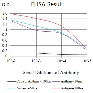 ACSS1 Antibody - Black line: Control Antigen (100 ng);Purple line: Antigen (10ng); Blue line: Antigen (50 ng); Red line:Antigen (100 ng)