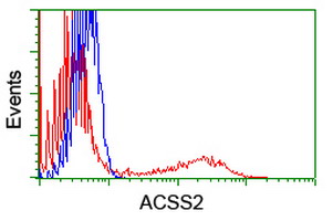 ACSS2 / ACAS2 Antibody - HEK293T cells transfected with either overexpress plasmid (Red) or empty vector control plasmid (Blue) were immunostained by anti-ACSS2 antibody, and then analyzed by flow cytometry.