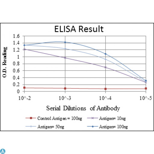 ACTA2 / Smooth Muscle Actin Antibody - ELISA analysis of ACTA2 antibody.