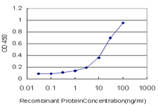 ACTB / Beta Actin Antibody - Detection limit for recombinant GST tagged ACTB is approximately 1 ng/ml as a capture antibody.