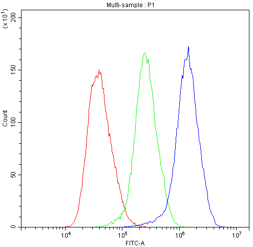 ACTN3 Antibody - Flow Cytometry analysis of Hela cells using anti-Human ACTN3 antibody. Overlay histogram showing Hela cells stained with anti-Human ACTN3 antibody (Blue line). The cells were blocked with 10% normal goat serum. And then incubated with rabbit anti-Human ACTN3 Antibody (1µg/10E6 cells) for 30 min at 20°C. DyLight®488 conjugated goat anti-rabbit IgG (5-10µg/10E6 cells) was used as secondary antibody for 30 minutes at 20°C. Isotype control antibody (Green line) was rabbit IgG (1µg/10E6 cells) used under the same conditions. Unlabelled sample (Red line) was also used as a control.
