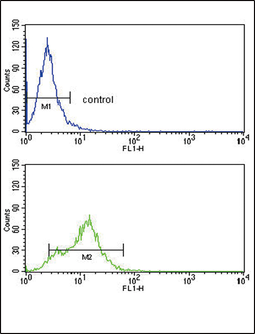ACVRL1 Antibody - ACVRL1 Antibody flow cytometry of HepG2 cells (bottom histogram) compared to a negative control cell (top histogram). FITC-conjugated goat-anti-rabbit secondary antibodies were used for the analysis.