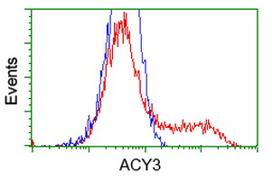 ACY3 Antibody - HEK293T cells transfected with either overexpress plasmid (Red) or empty vector control plasmid (Blue) were immunostained by anti-ACY3 antibody, and then analyzed by flow cytometry.