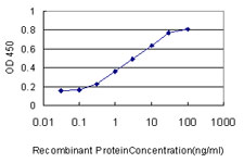 ACYP1 Antibody - Detection limit for recombinant GST tagged ACYP1 is approximately 0.03 ng/ml as a capture antibody.
