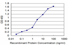 ACYP2 Antibody - Detection limit for recombinant GST tagged ACYP2 is approximately 0.1 ng/ml as a capture antibody.
