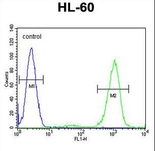 ADA / Adenosine Deaminase Antibody - ADA Antibody flow cytometry of HL-60 cells (right histogram) compared to a negative control cell (left histogram). FITC-conjugated goat-anti-rabbit secondary antibodies were used for the analysis.
