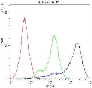 ADA / Adenosine Deaminase Antibody - Flow Cytometry analysis of Jurkat cells using anti-ADA antibody. Overlay histogram showing Jurkat cells stained with anti-ADA antibody4 (Blue line). The cells were blocked with 10% normal goat serum. And then incubated with rabbit anti-ADA Antibody (1µg/10E6 cells) for 30 min at 20°C. DyLight®488 conjugated goat anti-rabbit IgG (5-10µg/10E6 cells) was used as secondary antibody for 30 minutes at 20°C. Isotype control antibody (Green line) was rabbit IgG (1µg/10E6 cells) used under the same conditions. Unlabelled sample (Red line) was also used as a control.