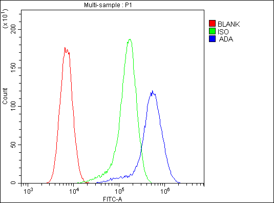 ADA / Adenosine Deaminase Antibody - Flow Cytometry analysis of U20S cells using anti-ADA antibody. Overlay histogram showing U20S cells stained with anti-ADA antibody (Blue line). The cells were blocked with 10% normal goat serum. And then incubated with mouse anti-ADA Antibody (1µg/10E6 cells) for 30 min at 20°C. DyLight®488 conjugated goat anti-mouse IgG (5-10µg/10E6 cells) was used as secondary antibody for 30 minutes at 20°C. Isotype control antibody (Green line) was mouse IgG (1µg/10E6 cells) used under the same conditions. Unlabelled sample (Red line) was also used as a control.