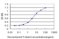 ADAM11 Antibody - Detection limit for recombinant GST tagged ADAM11 is approximately 0.1 ng/ml as a capture antibody.