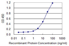 ADAM2 / Fertilin Beta Antibody - Detection limit for recombinant GST tagged ADAM2 is 1 ng/ml as a capture antibody.