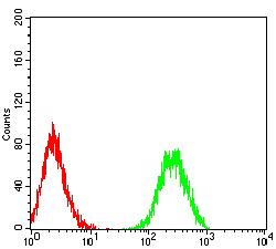 ADAM8 Antibody - Flow cytometric analysis of HL-60 cells using CD156 mouse mAb (green) and negative control (red).