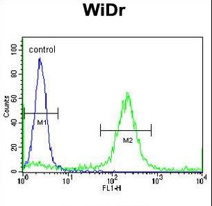 ADAMDEC1 Antibody - ADAMDEC1 Antibody flow cytometry of WiDr cells (right histogram) compared to a negative control cell (left histogram). FITC-conjugated goat-anti-rabbit secondary antibodies were used for the analysis.
