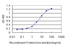 ADAMDEC1 Antibody - Detection limit for recombinant GST tagged ADAMDEC1 is approximately 0.3 ng/ml as a capture antibody.