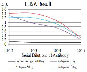 ADAMTS1 Antibody - Black line: Control Antigen (100 ng);Purple line: Antigen (10ng); Blue line: Antigen (50 ng); Red line:Antigen (100 ng)