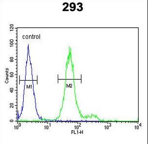 ADAMTS18 Antibody - ADAMTS18 Antibody flow cytometry of 293 cells (right histogram) compared to a negative control cell (left histogram). FITC-conjugated goat-anti-rabbit secondary antibodies were used for the analysis.