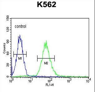 ADCY10 / Adenylate Cyclase 10 Antibody - ADCY10 Antibody flow cytometry of K562 cells (right histogram) compared to a negative control cell (left histogram). FITC-conjugated goat-anti-rabbit secondary antibodies were used for the analysis.