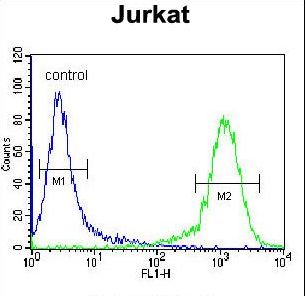 ADCY2 / Adenylate Cyclase 2 Antibody - ADCY2 Antibody flow cytometry of Jurkat cells (right histogram) compared to a negative control cell (left histogram). FITC-conjugated donkey-anti-rabbit secondary antibodies were used for the analysis.