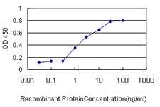 ADD1 / Adducin Alpha Antibody - Detection limit for recombinant GST tagged ADD1 is approximately 0.3 ng/ml as a capture antibody.