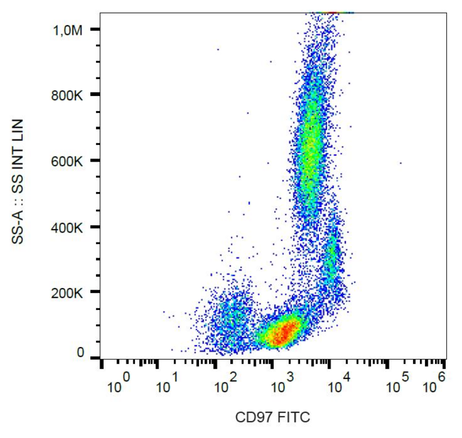 ADGRE5 / CD97 Antibody - Surface staining of human peripheral blood with anti-CD97 (MEM-180) FITC.