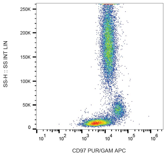 ADGRE5 / CD97 Antibody - Surface staining of human peripheral blood with anti-CD97 (MEM-180) purified, GAM-APC.