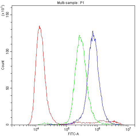 ADH1A / Alcohol Dehydrogenase Antibody - Flow Cytometry analysis of U20S cells using anti-ADH1 antibody. Overlay histogram showing U20S cells stained with anti-ADH1 antibody (Blue line). The cells were blocked with 10% normal goat serum. And then incubated with rabbit anti-ADH1 Antibody (1µg/10E6 cells) for 30 min at 20°C. DyLight®488 conjugated goat anti-rabbit IgG (5-10µg/10E6 cells) was used as secondary antibody for 30 minutes at 20°C. Isotype control antibody (Green line) was rabbit IgG (1µg/10E6 cells) used under the same conditions. Unlabelled sample (Red line) was also used as a control.