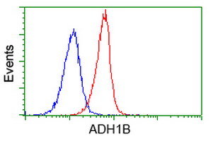 ADH2 / ADH1B Antibody - Flow cytometry of Jurkat cells, using anti-ADH1B antibody (Red), compared to a nonspecific negative control antibody (Blue).