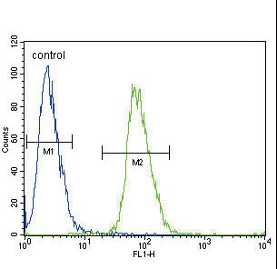 ADH4 Antibody - ADH4 Antibody flow cytometry of 293 cells (right histogram) compared to a negative control cell (left histogram). FITC-conjugated goat-anti-rabbit secondary antibodies were used for the analysis.
